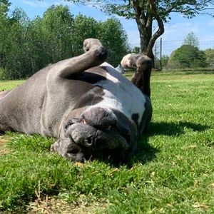 Meet your Posher, Paula